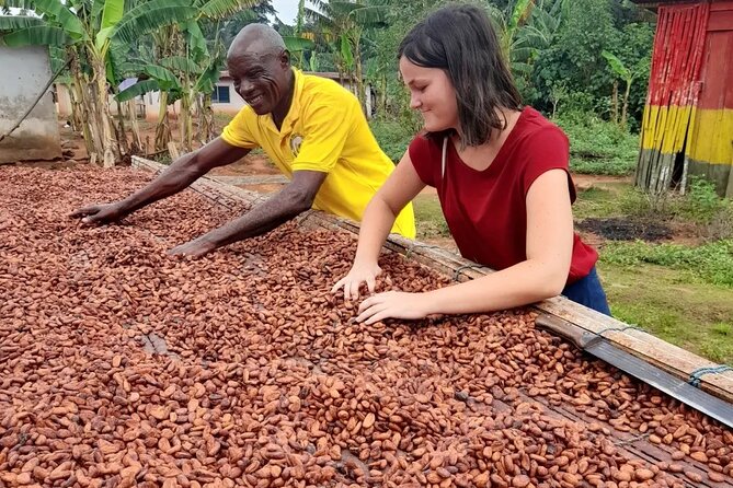 1 Day cocoa farm tour - The role of a private guide