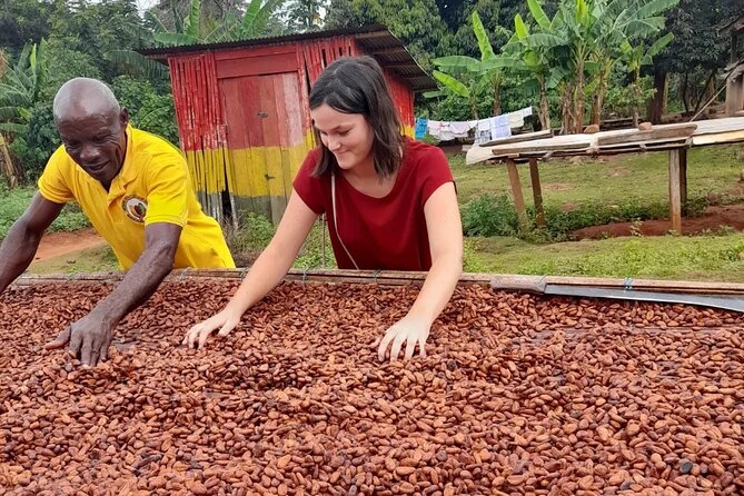 1 Day cocoa farm tour - Arriving in Asamankese and seeing the farm
