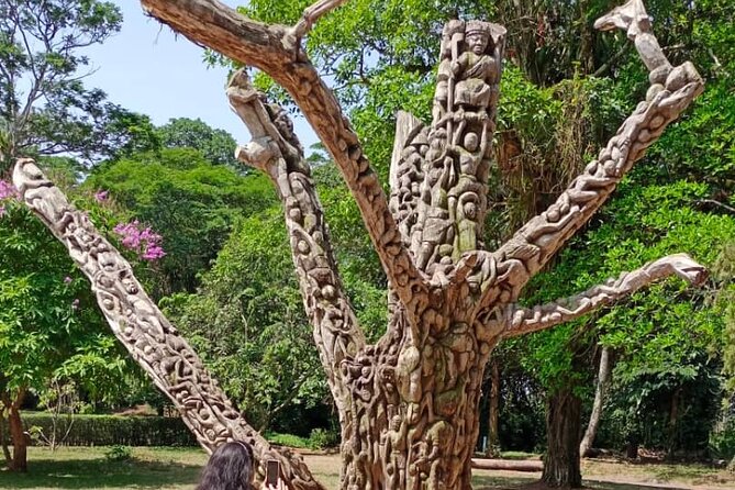 10 Day Ghana Adventure and Culture Tour - Kakum canopy walks and Elmina fishing life