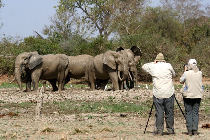 15-Day Ghana Wildlife Private Tour - Brenu Akyinim adds beach, scrub, and small mammals