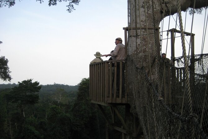 15-Day Ghana Wildlife Private Tour - Ankasa brings remote rainforest and basic camp life