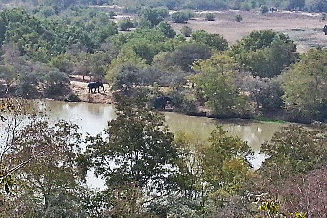 2 Days (1 night) Elephants Safari at Mole Park with Round - trip flights - Why Mole National Park makes this trip worthwhile
