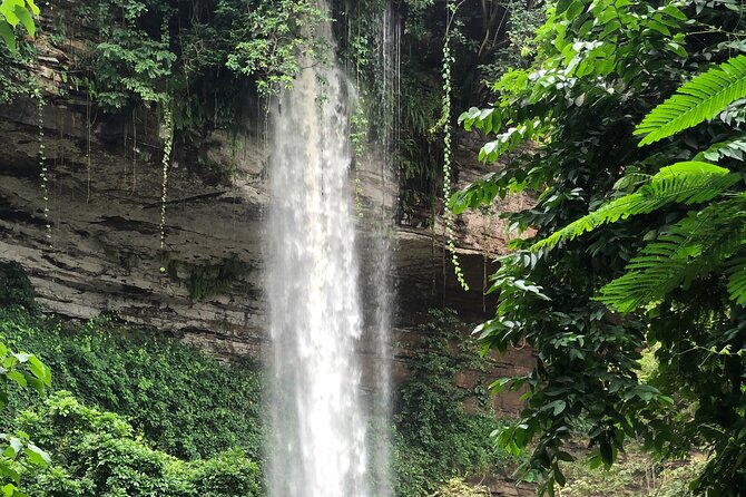 2Days private explore volta region - Tafi Atome, Mona monkeys, and local kente cloth