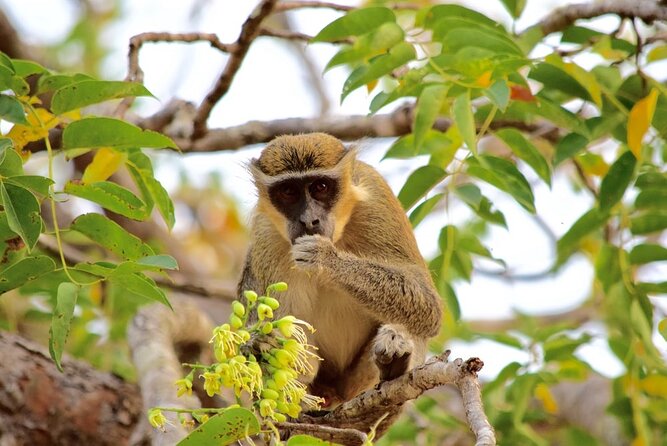 2Days private explore volta region - Starting from Independence Arch at 7:30 a.m.