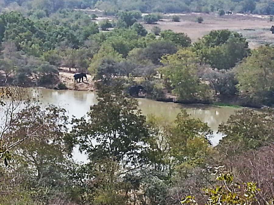 3 Days Elephant Safari at Mole Park with round trip flights - A traditional Ghanaian village visit