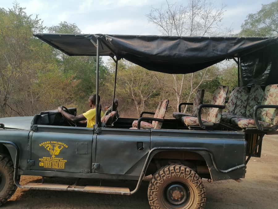 3 Days Elephant Safari at Mole Park with round trip flights - Seeing how shea butter is made