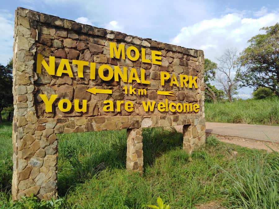 3 Days Elephant Safari at Mole Park with round trip flights - What the $1,100 price really includes