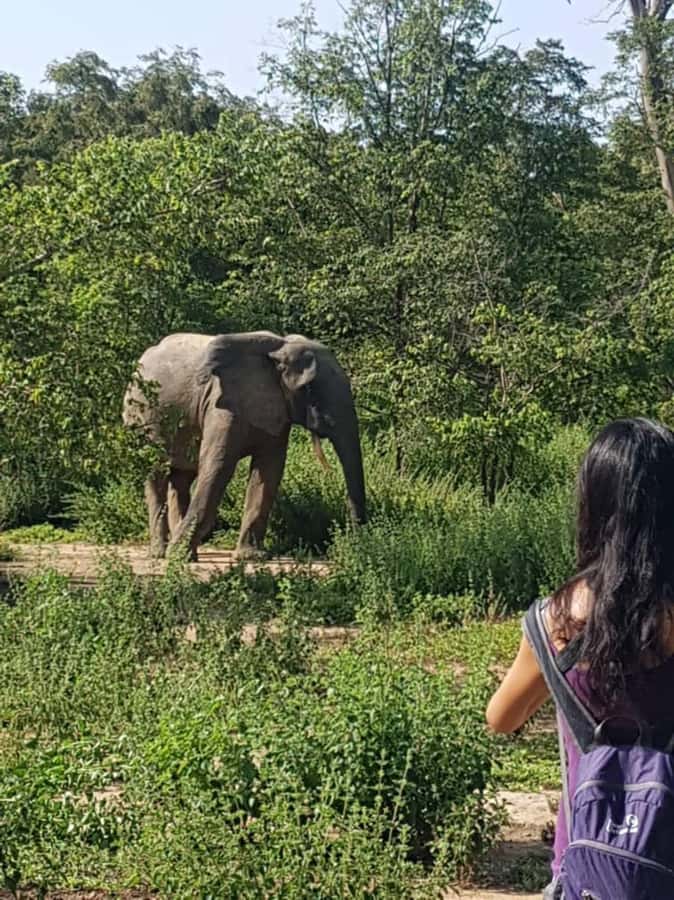 3 Days Elephant Safari at Mole Park with round trip flights - The two-hour road to Mole National Park