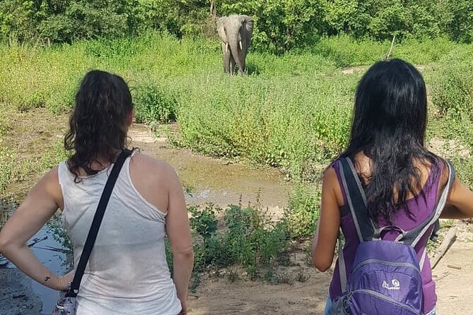 3 Days Elephants Safari at Mole Park with Round - trip flights - Key points to know before booking