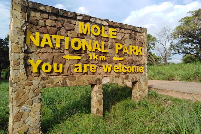 3 Days Elephants Safari at Mole Park with Round - trip flights - Why this Mole trip feels different from a standard safari