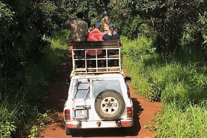 3 Days Sunrise Elephant Safari-Mole Park with -Round Trip Flight - Mognori Eco-Village and a canoe on the Mole River