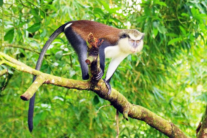 4 Days Cultural and Village Stay Experience - Key things to know before booking