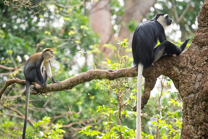 4 Days Cultural and Village Stay Experience - Why this four-day trip feels different