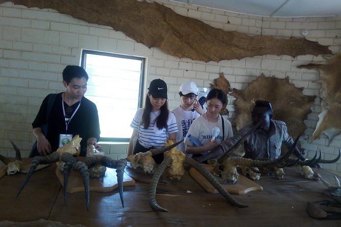 5 Days Adventurous Wildlife Safari - Mole National Park game drive and walking safari