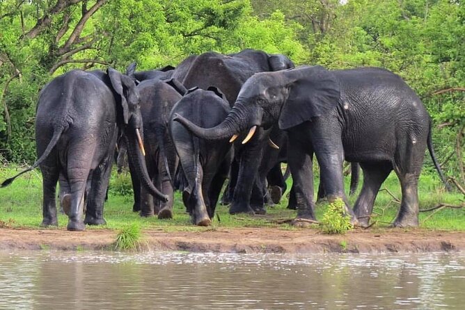5Days Ghana Safari Tour - Day 4: Mognori village, a canoe safari, and Larabanga Mosque