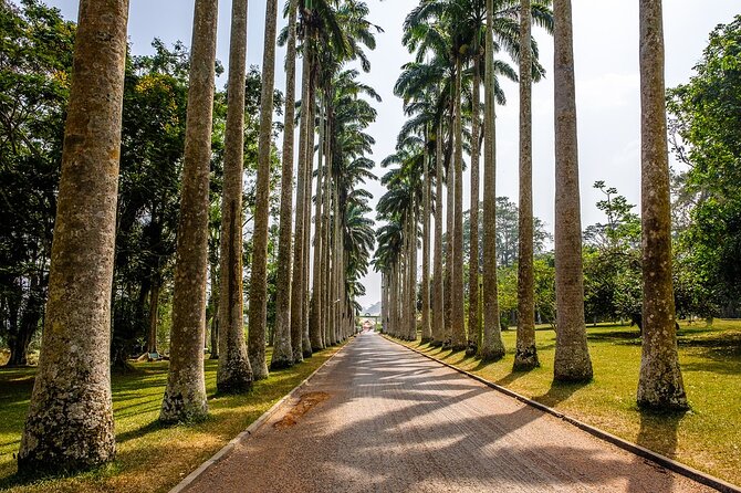 5Days Ghana Safari Tour - Wildlife variety without overpromising