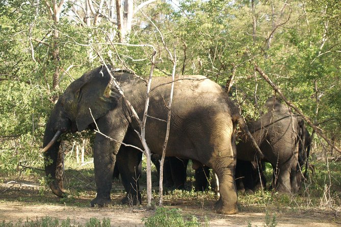 7days/6nights Eco Tourism - Why the route is so appealing