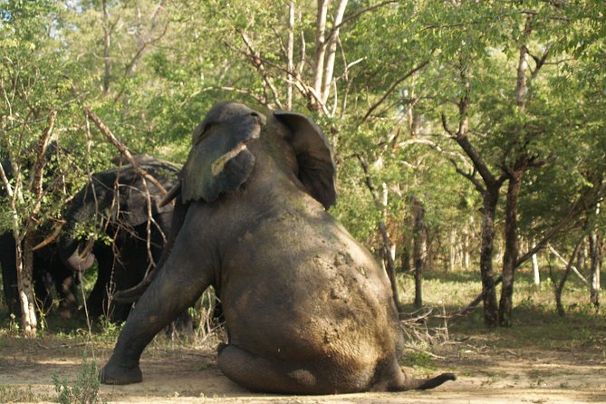 7days/6nights Eco Tourism - Day four: Forest reserves and sacred caves
