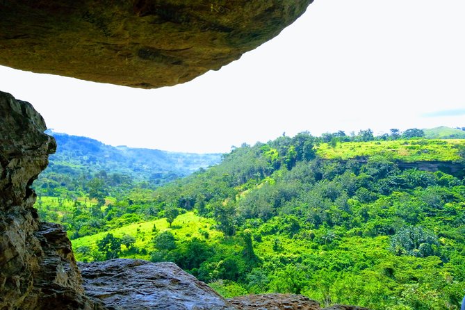A Tour to Boti Falls - The three-headed palm tree and fertility rock