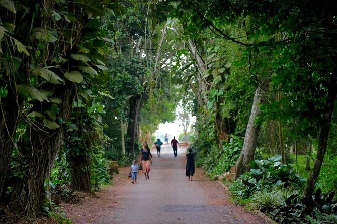 Aburi Botanic Gardens and Boti Falls Full-Day Private Tour - Aburi Botanical Gardens, a quiet start to the day