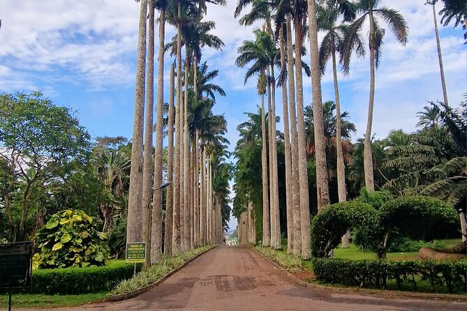 Aburi Botanic Gardens, Boti Falls,Umbrella Rock & Cocoa Farm Tour - Five details that shape the day