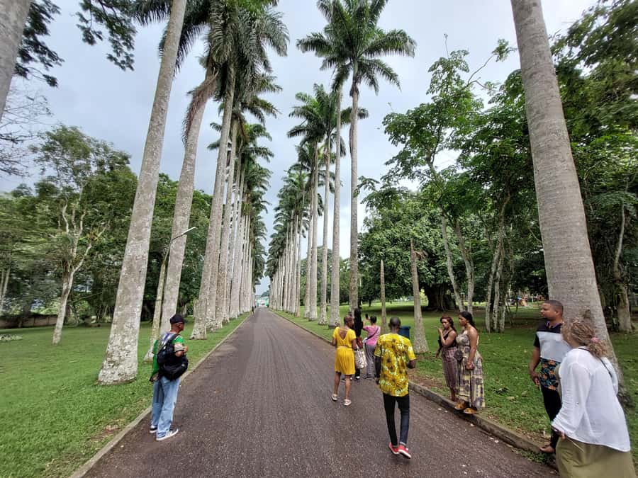 Aburi Botanical Gardens & First Cocoa Farm - Key points to know before you book
