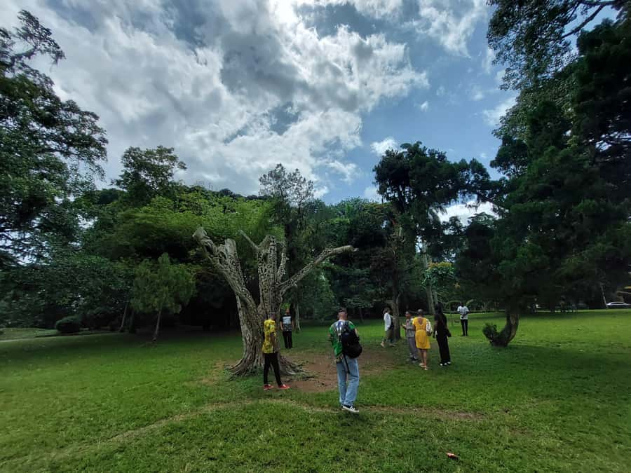 Aburi Botanical Gardens & First Cocoa Farm - Leaving Accra for Aburi’s cooler greenery