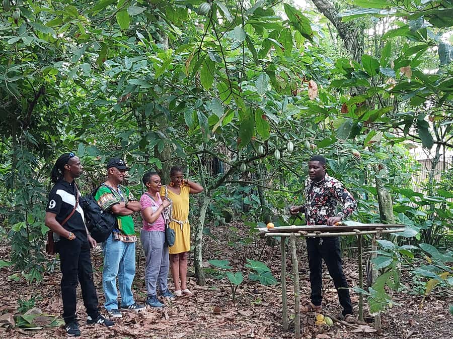 Aburi Botanical Gardens & First Cocoa Farm - Understanding Ghana’s cocoa story at Mampong Tetteh Quarshie Farm