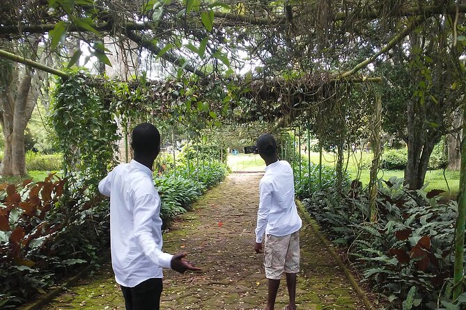 Aburi Gardens and Tetteh Quarshie Farms - Aburi Botanical Gardens: trees with a purpose