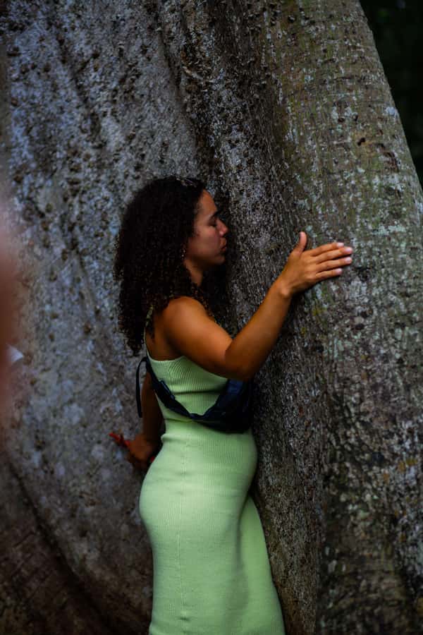 Accra: Aburi Botanical Garden, Cocoa Farm, and Waterfall … - Practical details before you book