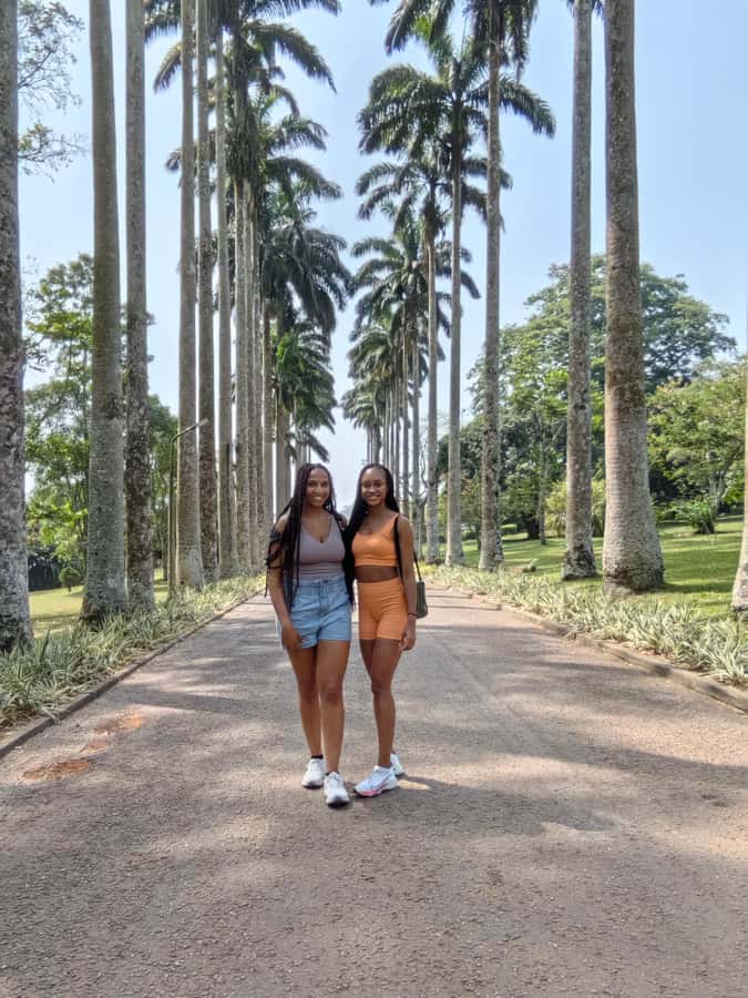 Accra: Aburi Botanical Garden, Cocoa Farm, and Waterfall … - Walking beneath the old trees at Aburi Botanical Garden