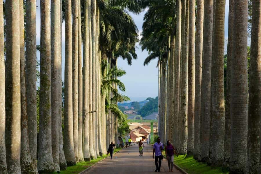 Accra Aburi Eco & Cocoa Experience: Gardens Waterfall &Lunch - Key points to know before booking