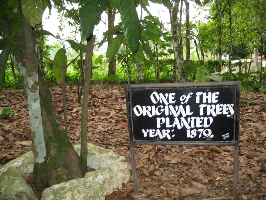 Accra Aburi Eco & Cocoa Experience: Gardens Waterfall &Lunch - The waterfall addition and what to expect