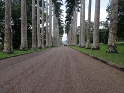 ATV quad bike, Botanical Garden, & Waterfall Tour
