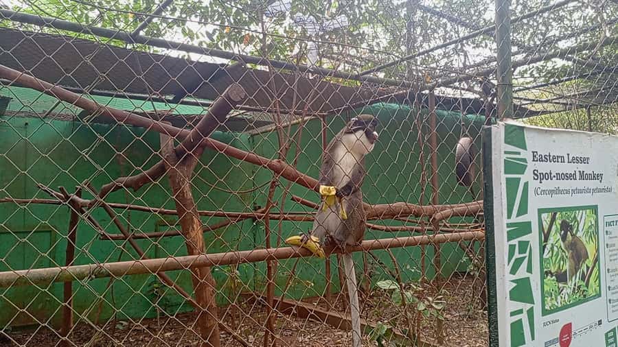 Accra City Tour with Wildlife Experience - Why this Accra itinerary works