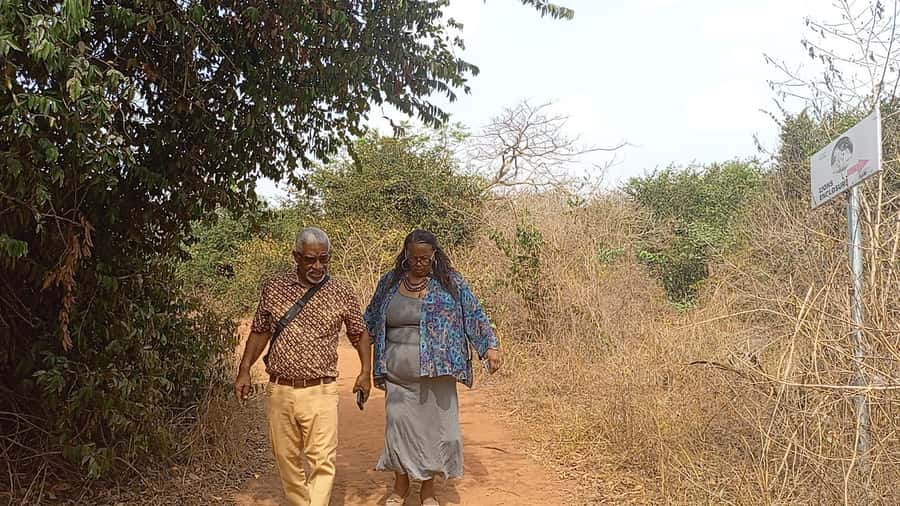 Accra City Tour with Wildlife Experience - Making room for jollof rice, banku, and kelewele