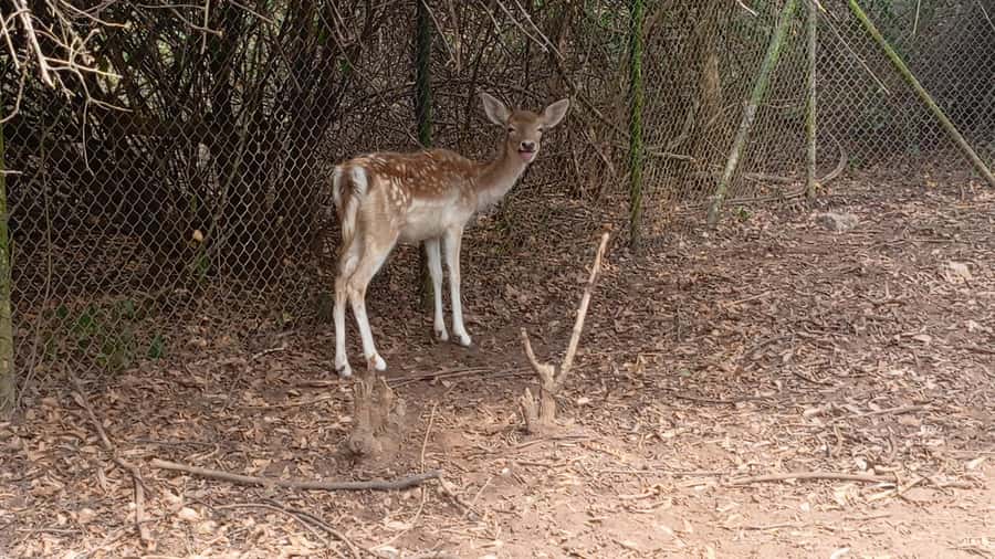 Accra City Tour with Wildlife Experience - The guide may shape your whole day