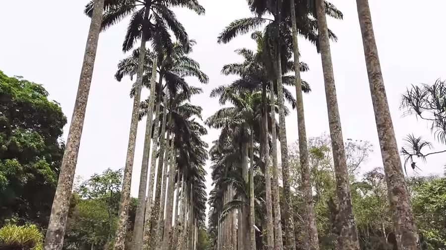 Accra: Eastern Region Waterfalls Tour - Boti Falls and the 250-step descent
