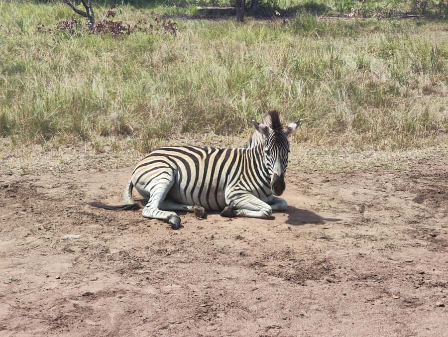 Accra: Half day private safari with pick up - Entering the reserve and learning the local story