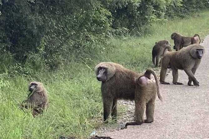 Accra Safari at Shai Hills and Boat Cruise + Cedis Beads - A calm cruise from Afrikiko River Front Resort