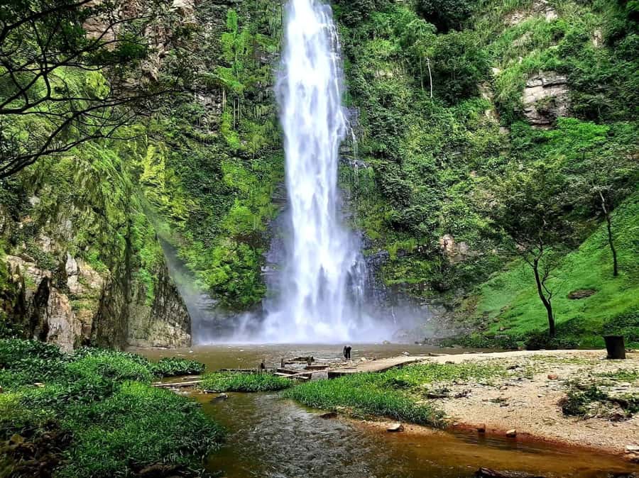 Accra: Tafi Kente Village, Monkey Sanctuary &Wli Waterfalls - Is $259 per person a fair price?