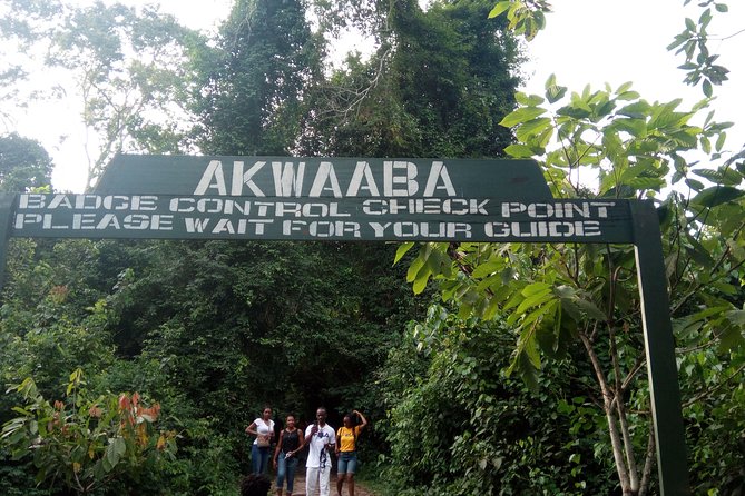 Accra to Cape Coast to Elmina Heritage Tour - Elmina Castle: the oldest European structure in sub-Saharan Africa