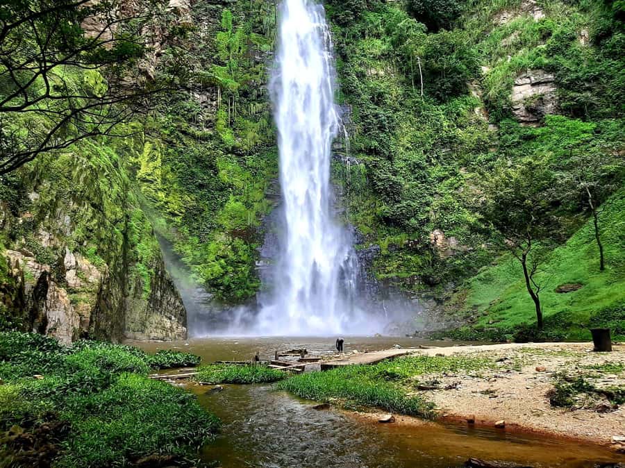 Accra: Wli falls & Mona Monkey Sanctuary - What the Wli hike is really like