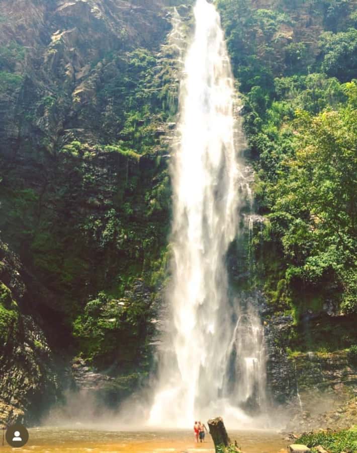 Accra: Wli falls & Mona Monkey Sanctuary - Tafi Atome and its friendly forest residents