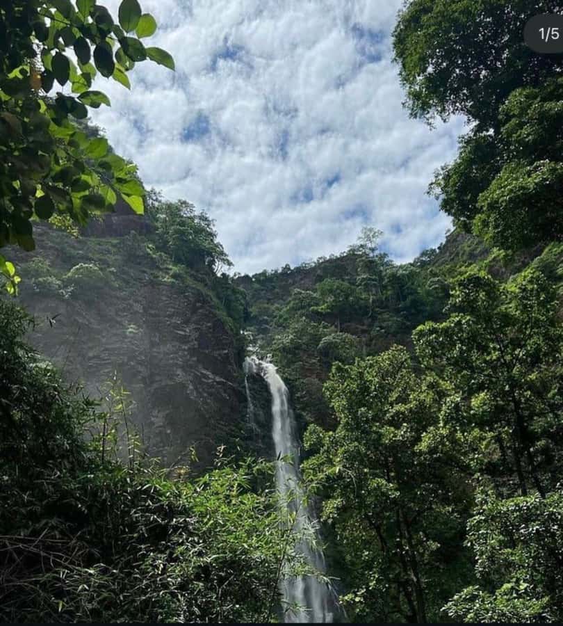 Accra: Wli falls & Mona Monkey Sanctuary - Who will enjoy this tour most?