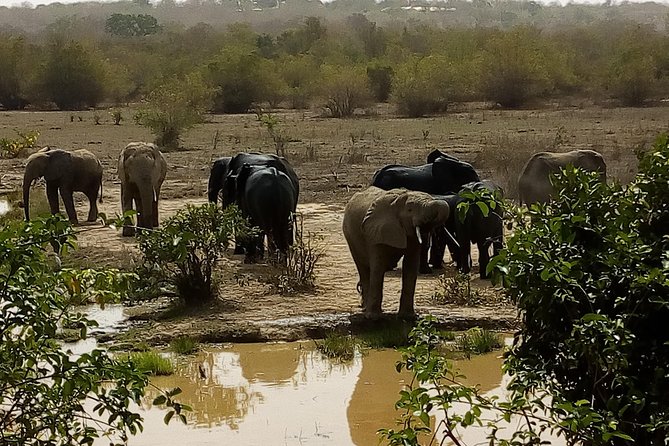 Bird watching tours , cultural and historical tours of Ghana. - Is $256.42 per person good value?