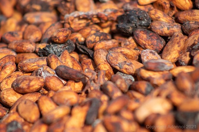 Boti Falls, Umbrella Rock, Aburi Gardens & Cocoa Farm Day Tour - Five things to know before booking