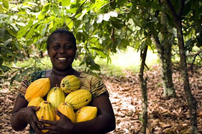 Boti Falls, Umbrella Rock, Aburi Gardens & Cocoa Farm Day Tour - Boti Falls and the two forest streams