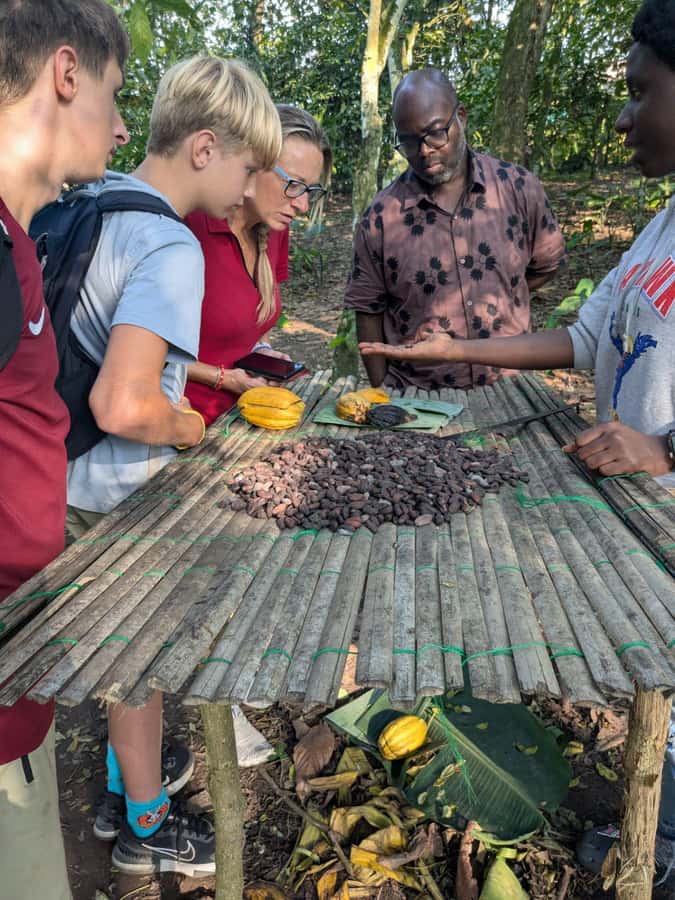 Boti Falls, Umbrella Rock, Aburi Gardens & Cocoa Farm Tour - What $94 Includes and Whether It Feels Fair