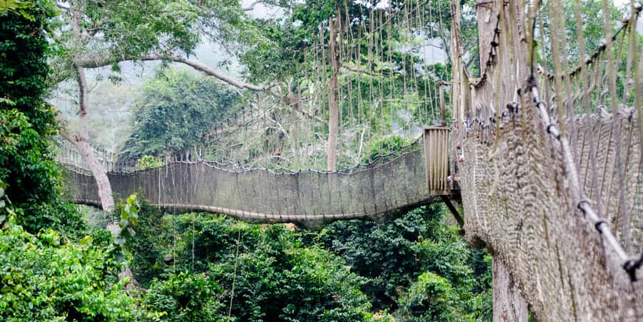 Cape Coast: Kakum National Park, Castles, & Hans Cottage - Why this Ghana day trip works so well